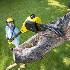 Best Organic Lawn Care Solutions  in Roosevelt, NY