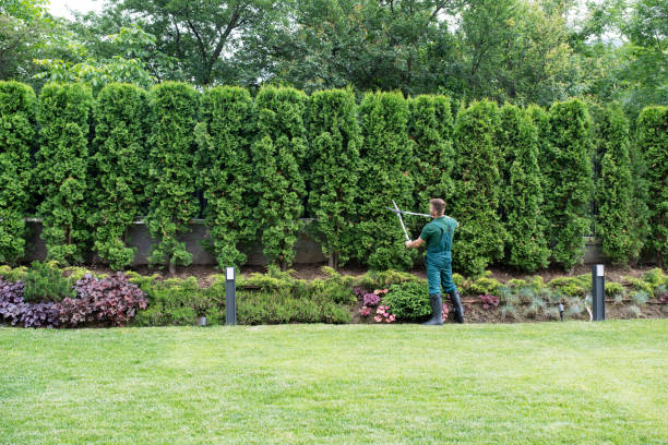 Best Hazardous Tree Removal  in Roosevelt, NY